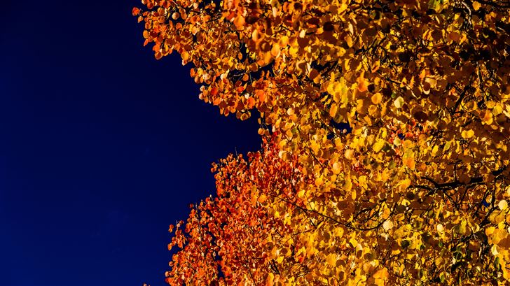 autumn view from the surselva switzerland 5k Mac Wallpaper