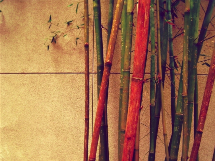 Earth bamboos Mac Wallpaper