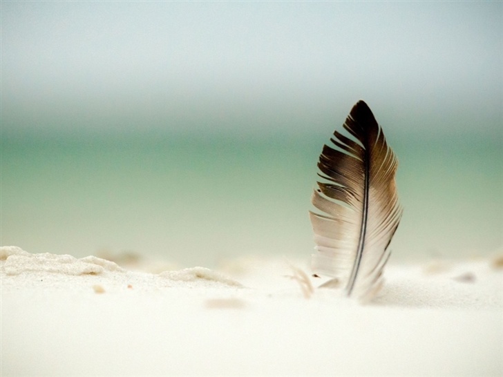 Feather In The Sand Mac Wallpaper