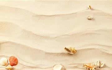 Shells on the sand All Mac wallpaper