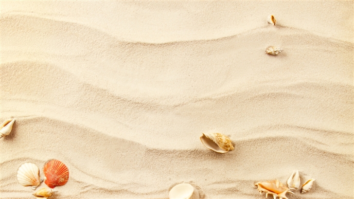 Shells on the sand Mac Wallpaper