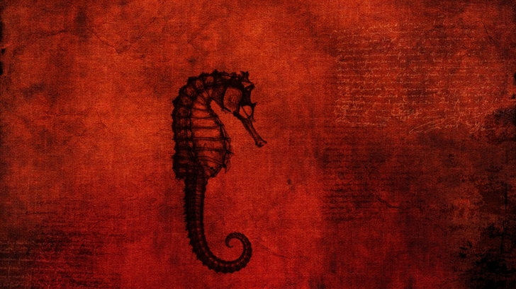 The mystery of the hippocampus Mac Wallpaper