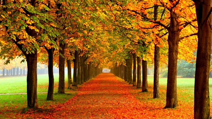 Dreamful autumn Mac Wallpaper