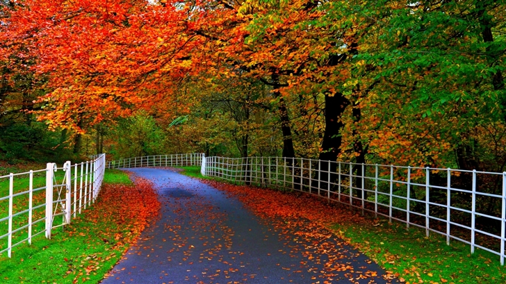  Beautiful autumn Mac Wallpaper