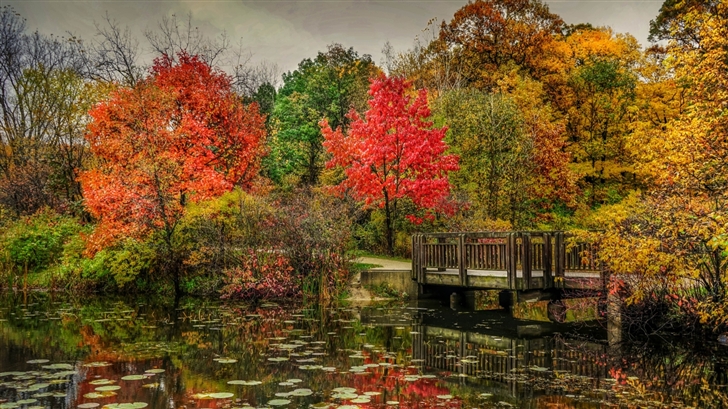 The dazzle beautiful autumn Mac Wallpaper