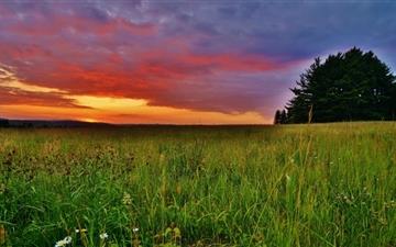 The sunset of grassland MacBook Pro wallpaper