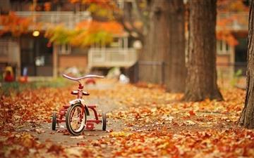 Tricycle All Mac wallpaper