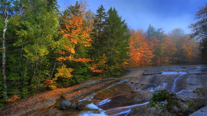 Streams in the forest Mac Wallpaper