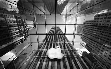 Apple logo MacBook Air wallpaper