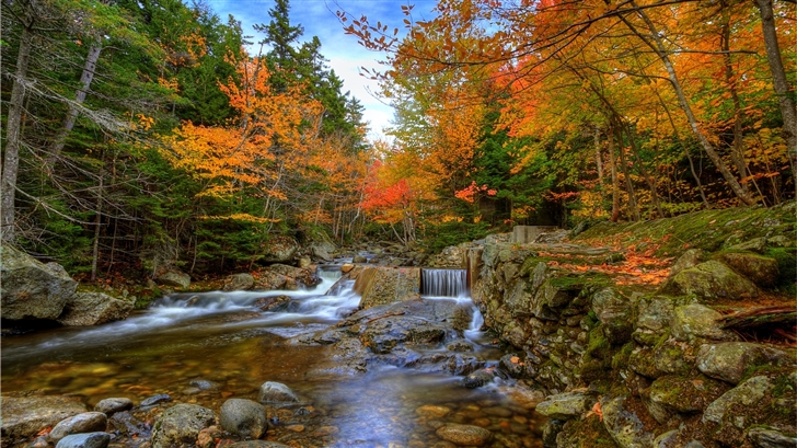  Autumn Woods Mac Wallpaper