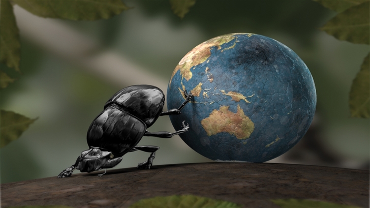  Dung beetle Mac Wallpaper