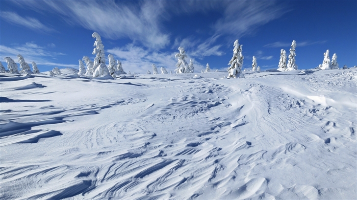 Snow field Mac Wallpaper