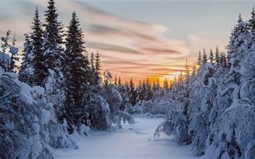 The sunset in winter All Mac wallpaper