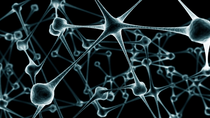 Nerve cell Mac Wallpaper