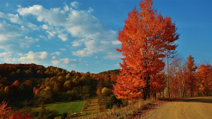 Beautiful autumn Mac Wallpaper