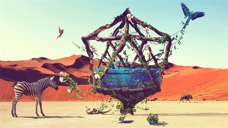 Life In Desert Mac Wallpaper