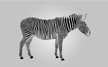 Zebra All Mac wallpaper