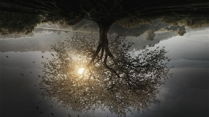 The Divergent Series Insurgent Tree Mac Wallpaper
