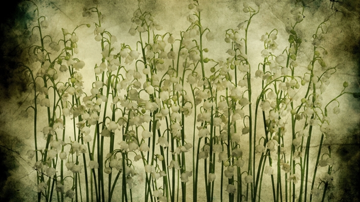 Lily Of The Valley Vintage Texture Mac Wallpaper