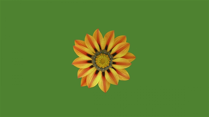 Small Flower Mac Wallpaper