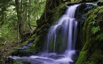 Beautiful Forest Waterfall All Mac wallpaper