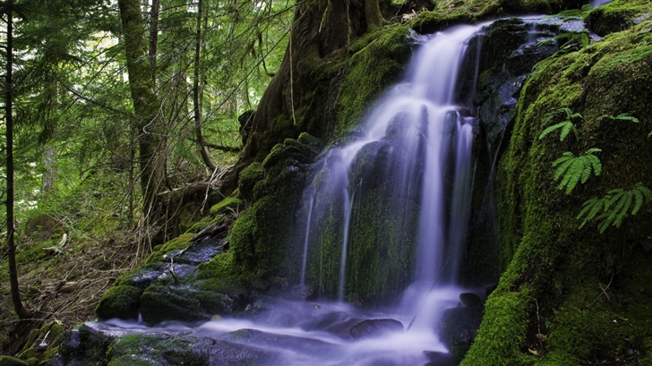 Beautiful Forest Waterfall Mac Wallpaper