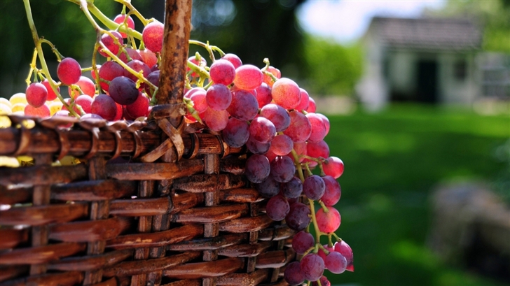 Grape Basket Mac Wallpaper