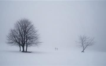 Misty Scene From Winterberg Germany All Mac wallpaper