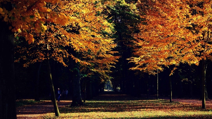 Autumn Landscape Mac Wallpaper