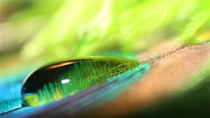 Green Water Drop Mac Wallpaper