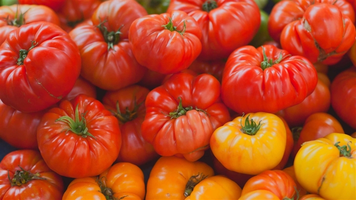 Heirloom Tomatoes Mac Wallpaper