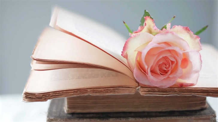 Rose Book  Mac Wallpaper