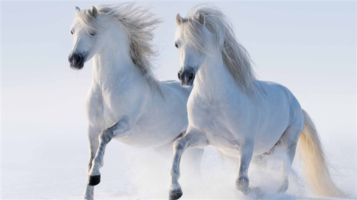 White Horses Mac Wallpaper