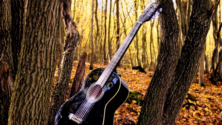 Forest Guitar Mac Wallpaper