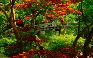 Japanese Garden Kyoto All Mac wallpaper