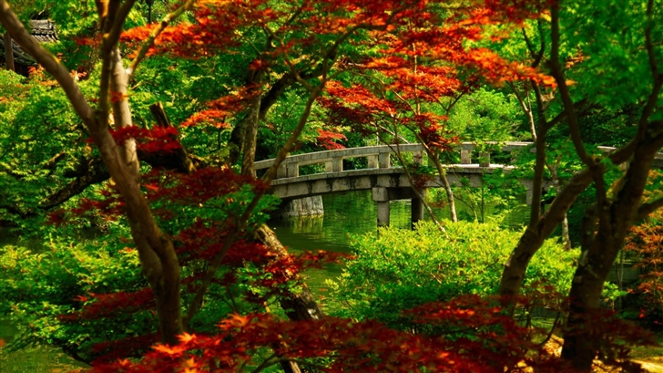 Japanese Garden Kyoto Mac Wallpaper