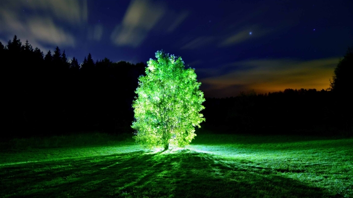 Glowing Tree Mac Wallpaper
