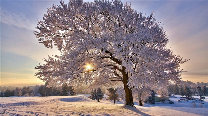 Beautiful Winter Morning Mac Wallpaper