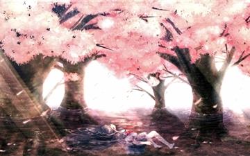 Cherry Tree Blossoms All Mac wallpaper