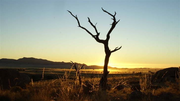 Sunset Namib Desert Mac Wallpaper