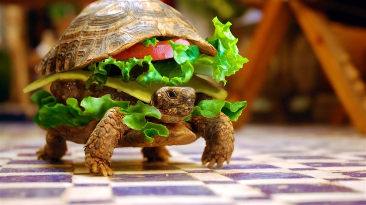 Cheese Turtle Burger  Mac Wallpaper