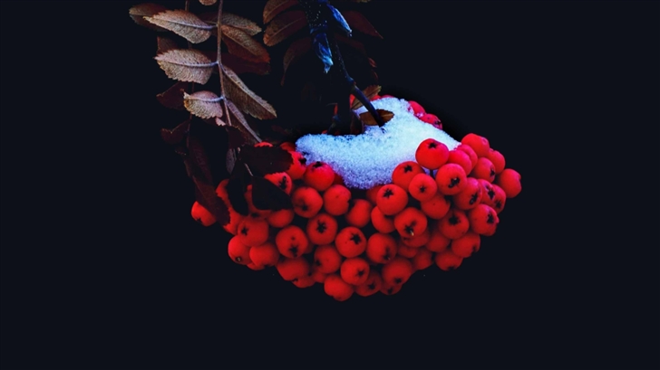 Small Red Berries Mac Wallpaper