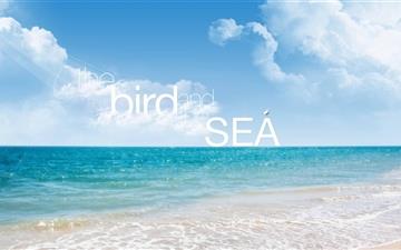 The Bird And The Sea All Mac wallpaper