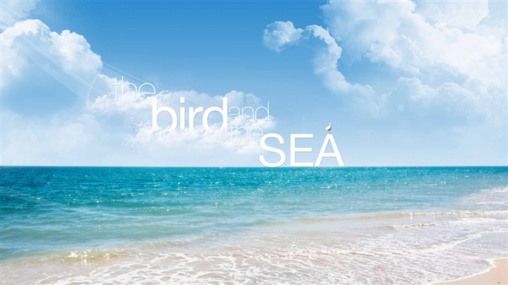 The Bird And The Sea Mac Wallpaper