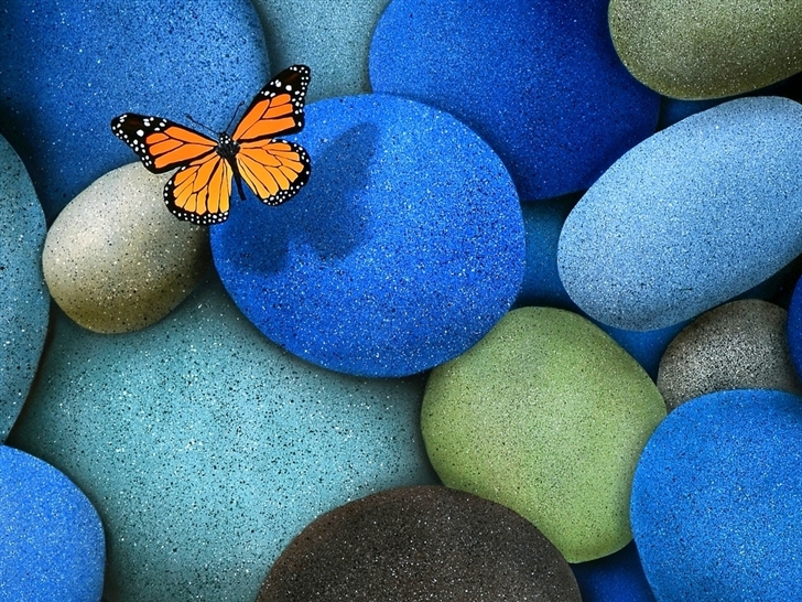 Lonely Butterfly Mac Wallpaper