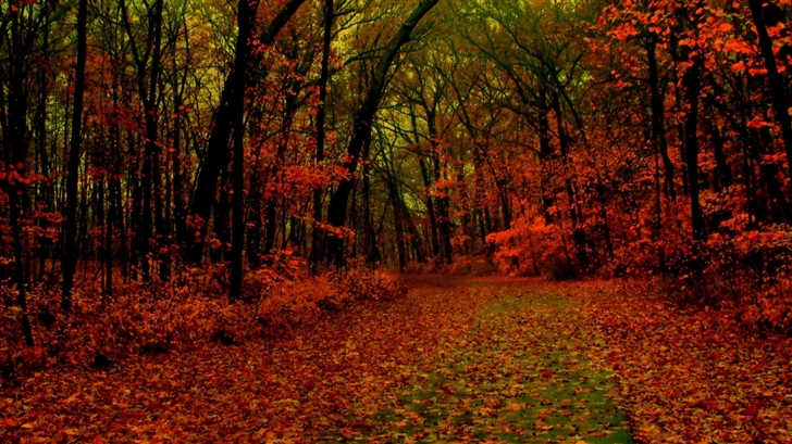 Red Forest Mac Wallpaper