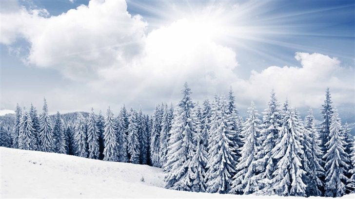 The Winter Mac Wallpaper Download | AllMacWallpaper