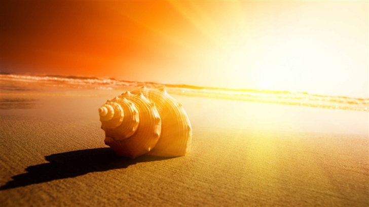 Shell On The Beach Mac Wallpaper