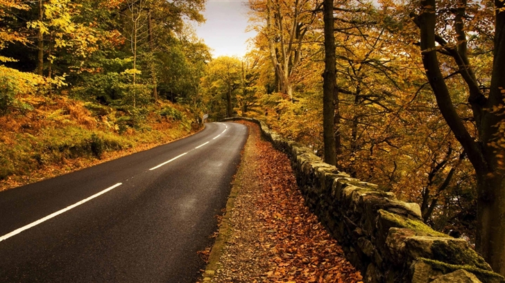 Autumn Road Mac Wallpaper