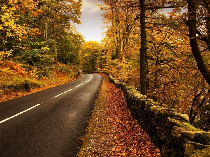 Autumn highway Mac Wallpaper